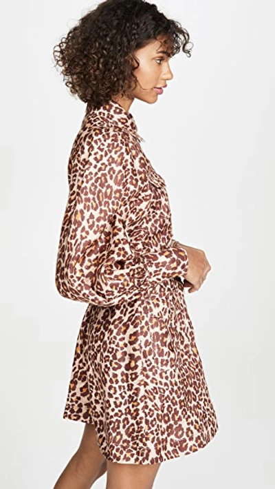 Shop Zimmermann Resistance Safari Linen Shirtdress In Cameo Leopard