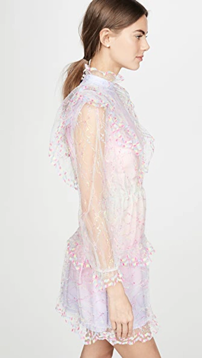 Shop Olivia Rubin Saffy Dress In Neon Lace