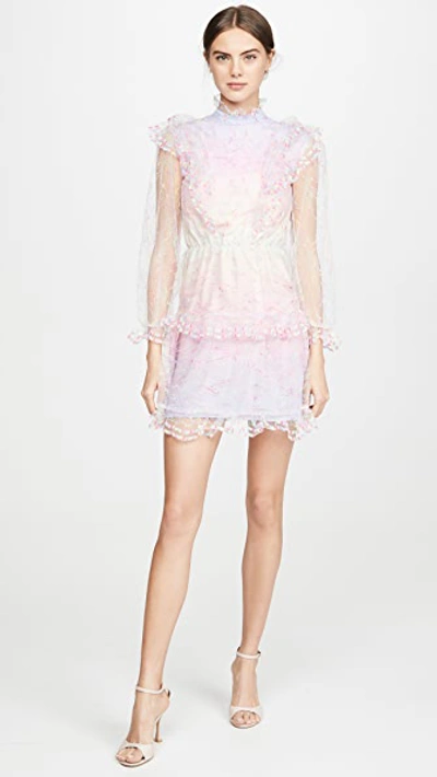 Shop Olivia Rubin Saffy Dress In Neon Lace