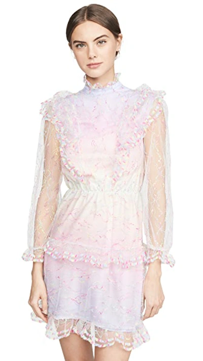Shop Olivia Rubin Saffy Dress In Neon Lace