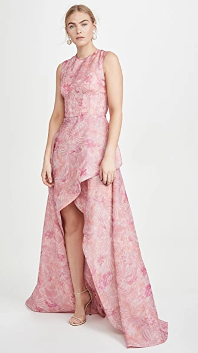 Shop Costarellos Sleeveless Printed Organza Tulip Dress In Sorbet Pink