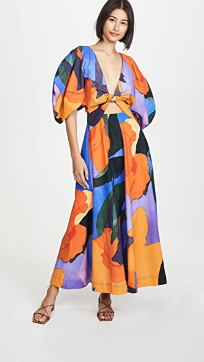 Shop Mara Hoffman Leila Dress In Multi