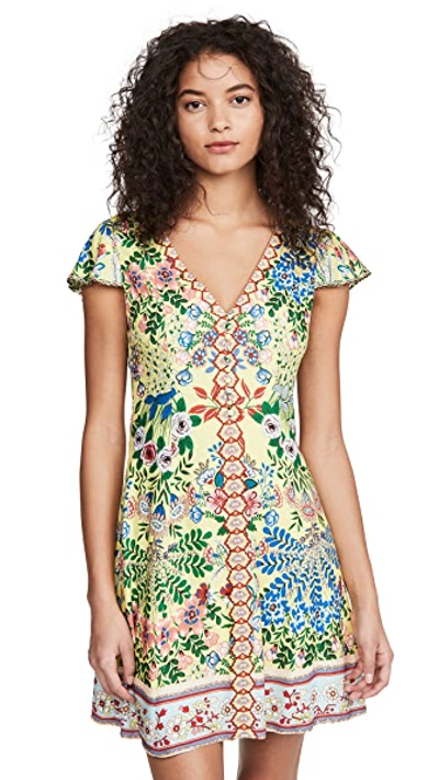 Shop Alice And Olivia Hadley Button Fit Flare Dress In Wildflower Daffodil