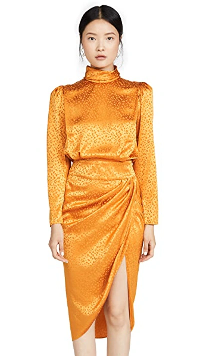 Shop Ronny Kobo Kaira Dress In Marigold