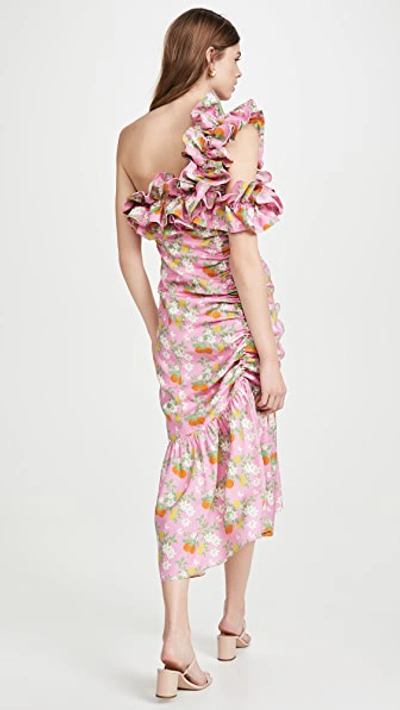 Shop Viva Aviva Catalina Double Drawstring Ruffle Dress In Pink Citrus Garden