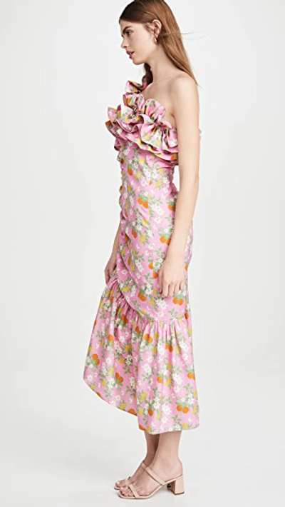 Shop Viva Aviva Catalina Double Drawstring Ruffle Dress In Pink Citrus Garden