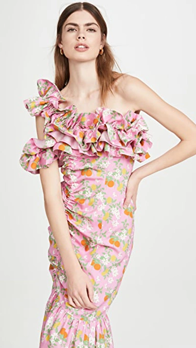 Shop Viva Aviva Catalina Double Drawstring Ruffle Dress In Pink Citrus Garden