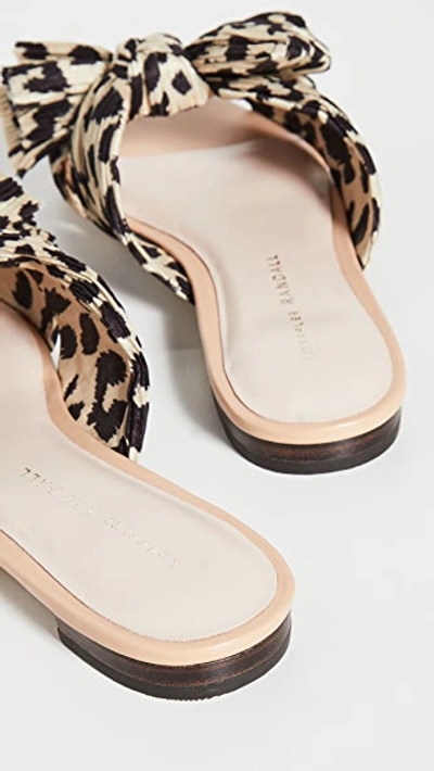 Shop Loeffler Randall Daphne Knot Flat Sandals In Leopard