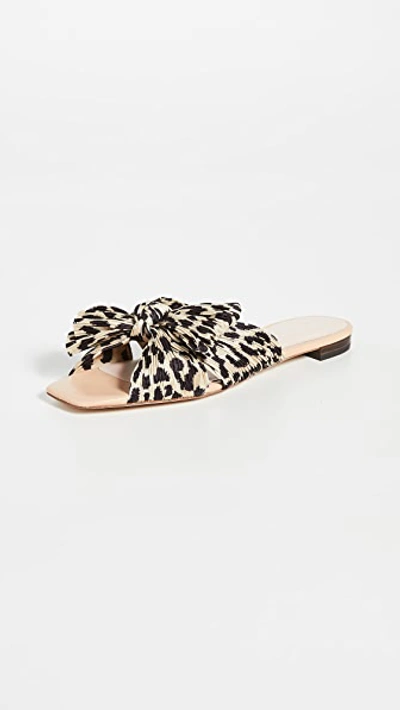 Shop Loeffler Randall Daphne Knot Flat Sandals In Leopard