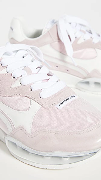 Shop Alexander Wang Awnyc Stadium Trainers In Pink