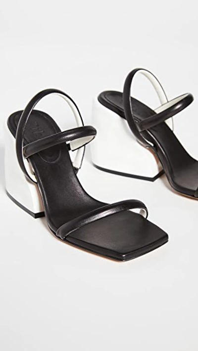Shop Tibi Miko Sandals In Black