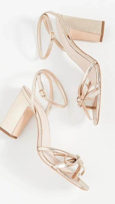 Shop Loeffler Randall Maeve Knot Bow Ankle Strap Heel Sandals In Champagne
