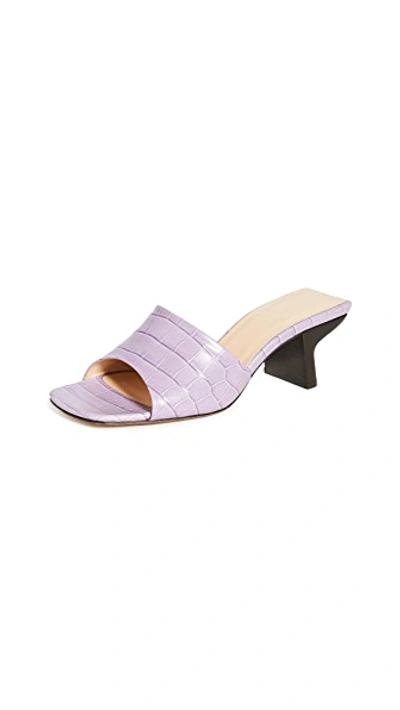 Lily Mule Sandals