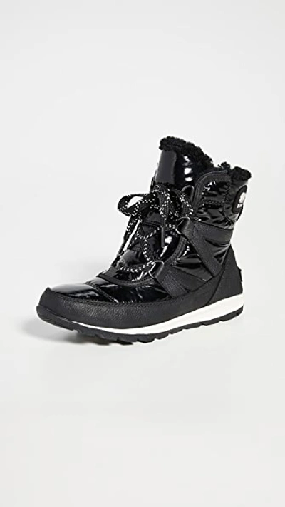 Shop Sorel Whitney Short Lace Patent Boots In Black