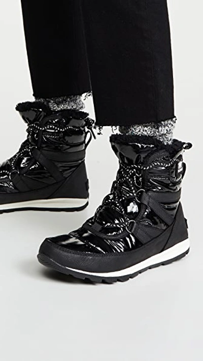 Shop Sorel Whitney Short Lace Patent Boots In Black