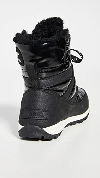 Shop Sorel Whitney Short Lace Patent Boots In Black
