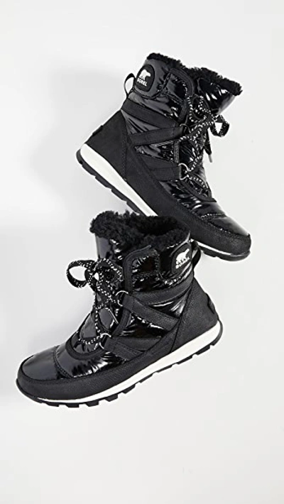 Shop Sorel Whitney Short Lace Patent Boots In Black