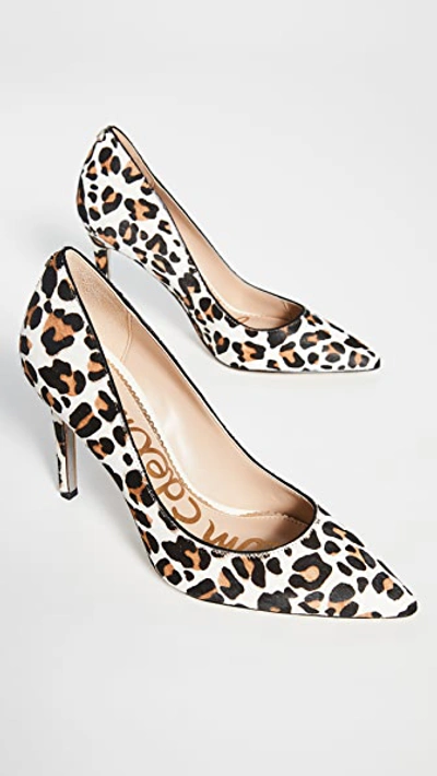 Shop Sam Edelman Hazel Pumps In White Leopard