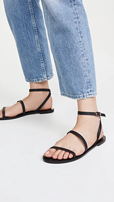 Shop Kaanas Vitoria Gladiator Sandals In Black