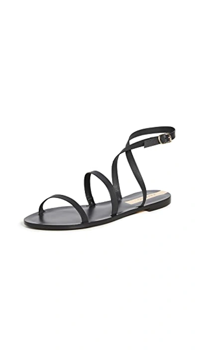 Shop Kaanas Vitoria Gladiator Sandals In Black