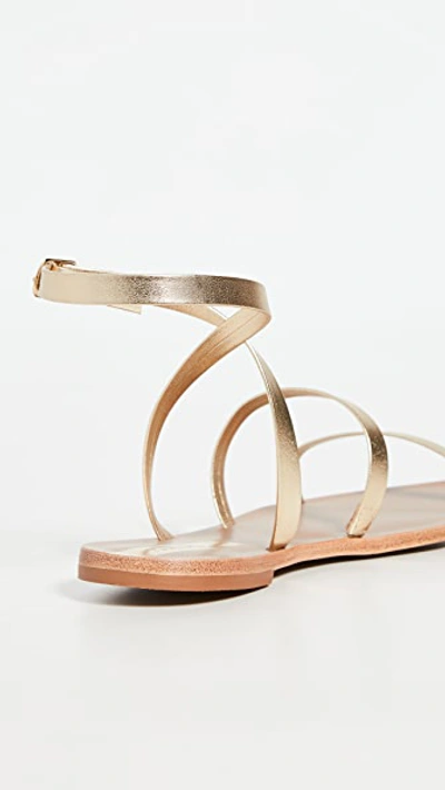 Shop Kaanas Vitoria Gladiator Sandals In Gold