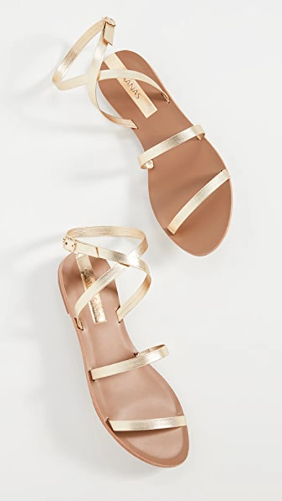 Shop Kaanas Vitoria Gladiator Sandals In Gold