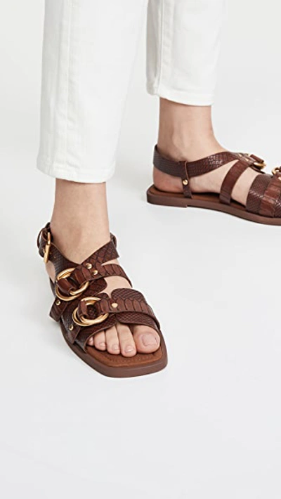 Shop Stella Mccartney Flat Sandals In Pecan
