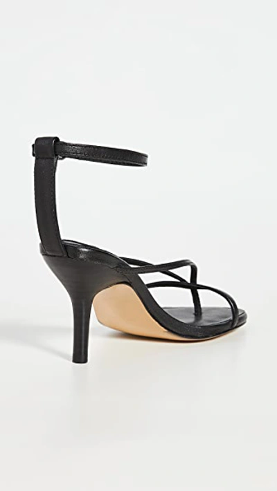 Shop Jaggar Rein Sandals In Black