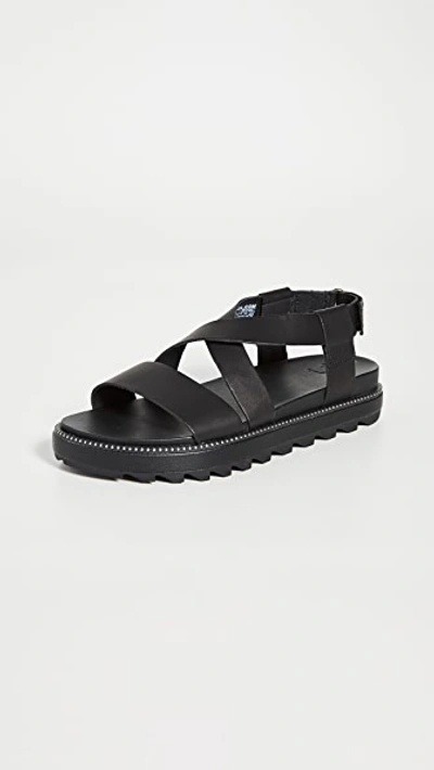 Shop Sorel Roaming Crisscross Sandals In Black