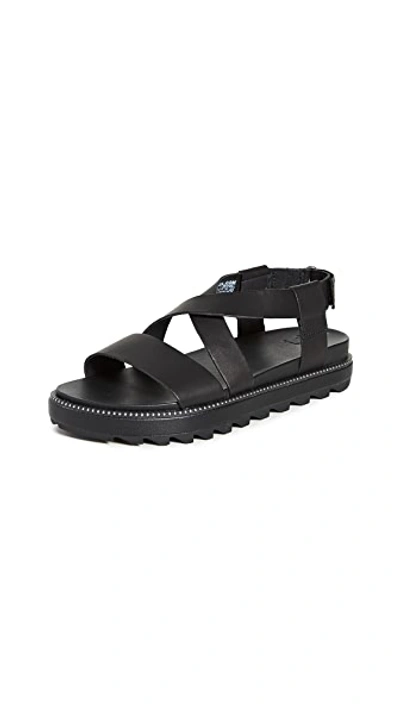 Shop Sorel Roaming Crisscross Sandals In Black