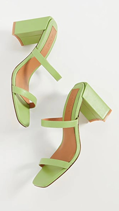 Shop Jaggar Square Heel Sandals In Lime Green