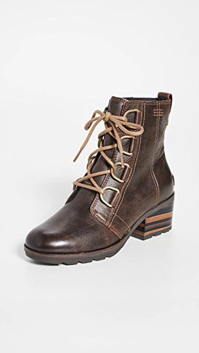 Shop Sorel Cate Lace Up Boots In Burro