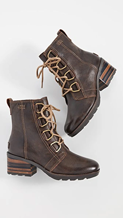 Shop Sorel Cate Lace Up Boots In Burro