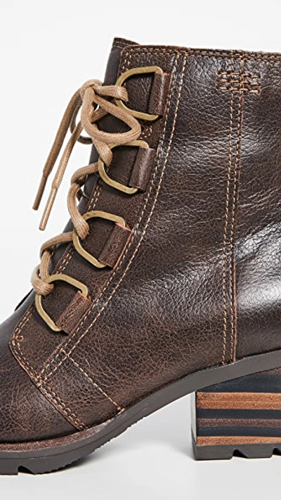 Shop Sorel Cate Lace Up Boots In Burro