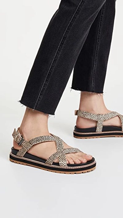 Shop Madewell Piper Lugsole Sandals In Dried Flax Multi