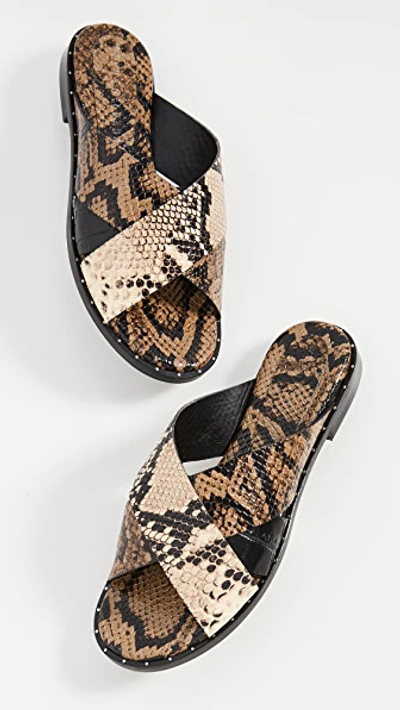 Shop Freda Salvador Dew Cross Strap Sandals In Sage Snake Combo