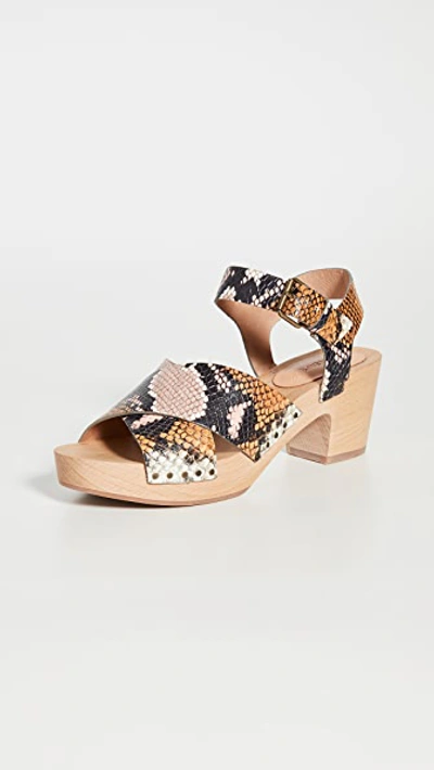 Shop Madewell Cait Crisscross Clogs In Forgotten Petal Multi