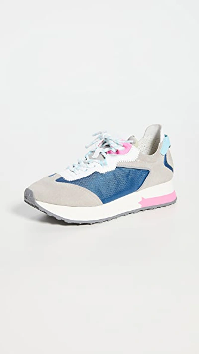 Shop Ash Tiger Sneakers In Dove/white/light Grey