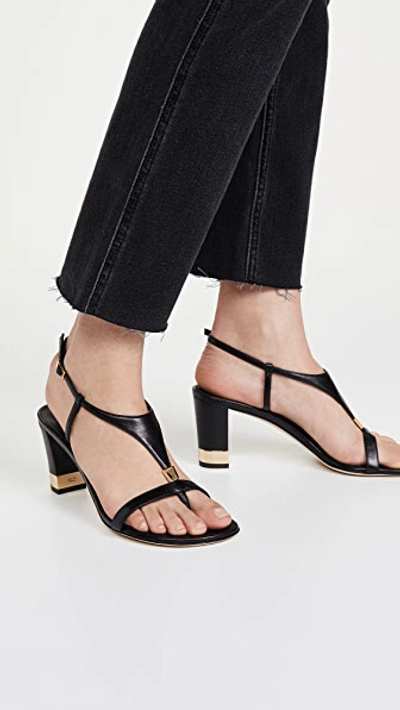 Shop Giuseppe Zanotti Helmut 105 Sandals In Tambo Nero