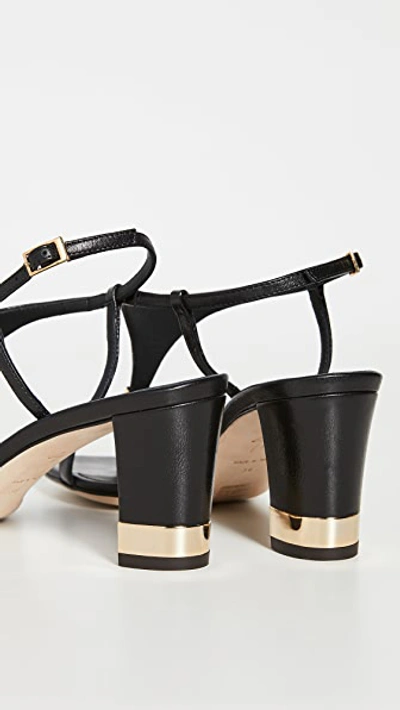 Shop Giuseppe Zanotti Helmut 105 Sandals In Tambo Nero