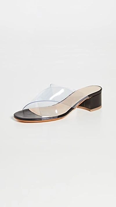 Shop Maryam Nassir Zadeh Lauren Slides In Clear Croc