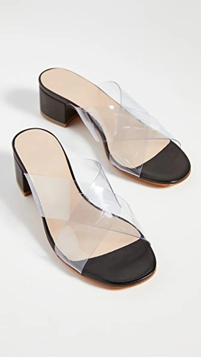 Shop Maryam Nassir Zadeh Lauren Slides In Clear Croc