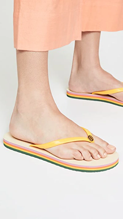 Shop Tory Burch Thin Flip Flops In Solar/canyon Stripe