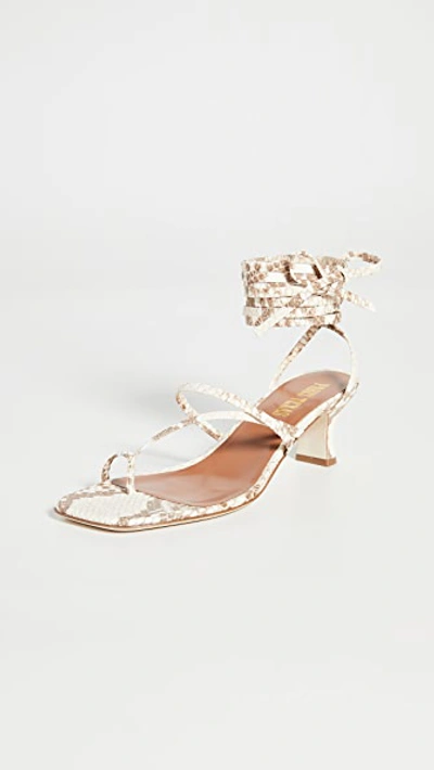 Shop Paris Texas Faded Python Print Wrap Sandals In Faded Natural