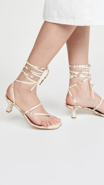 Shop Paris Texas Faded Python Print Wrap Sandals In Faded Natural