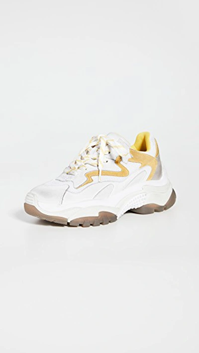 Shop Ash Addict Sneakers In White/sun/dove