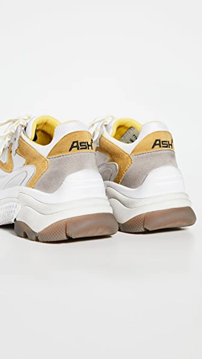 Shop Ash Addict Sneakers In White/sun/dove
