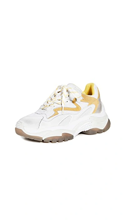 Shop Ash Addict Sneakers In White/sun/dove