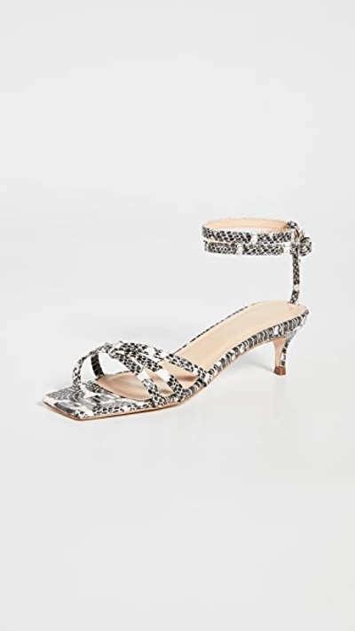 Shop By Far Kaia Sandals In Graphic