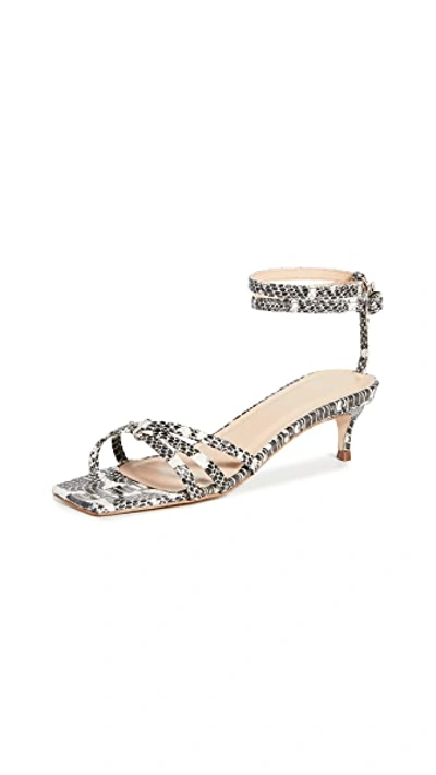 Shop By Far Kaia Sandals In Graphic